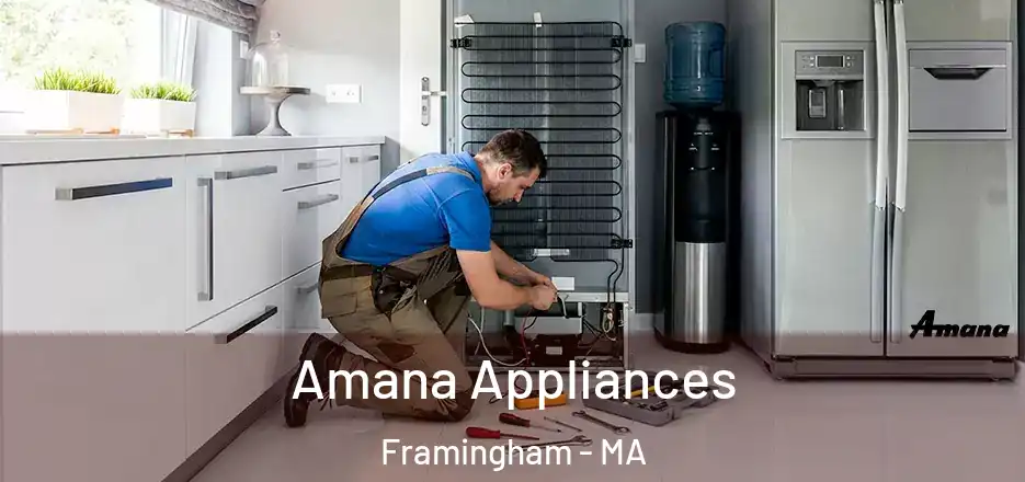  Amana Appliances Framingham - MA