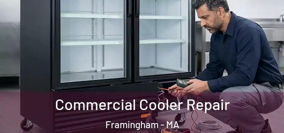 Commercial Cooler Repair Framingham - MA