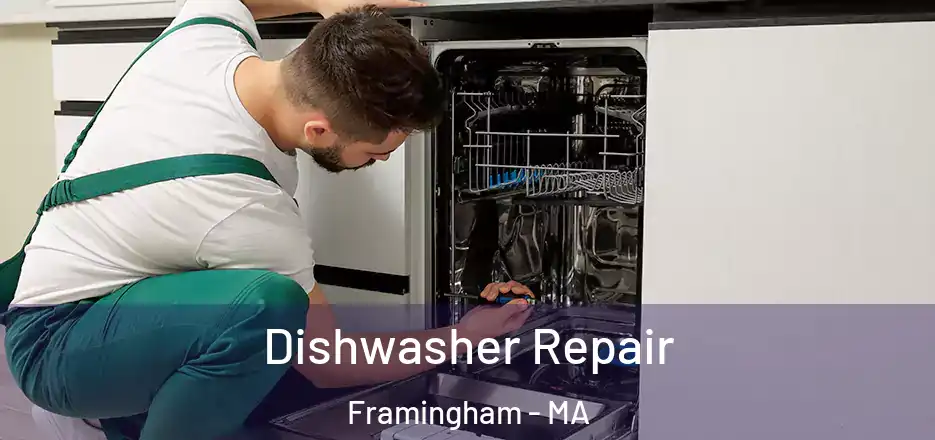  Dishwasher Repair Framingham - MA