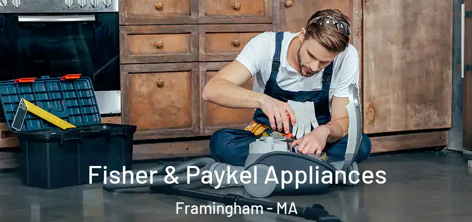 Fisher & Paykel Appliances Framingham - MA