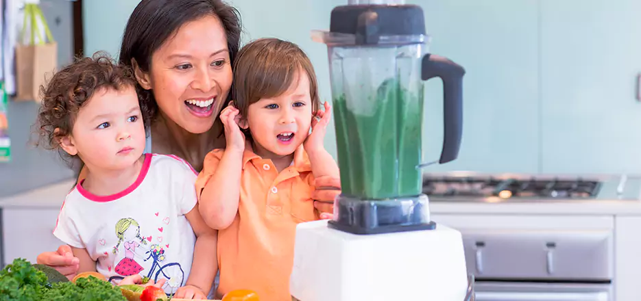 Juicer and Mixer Blender Repair in Framingham 