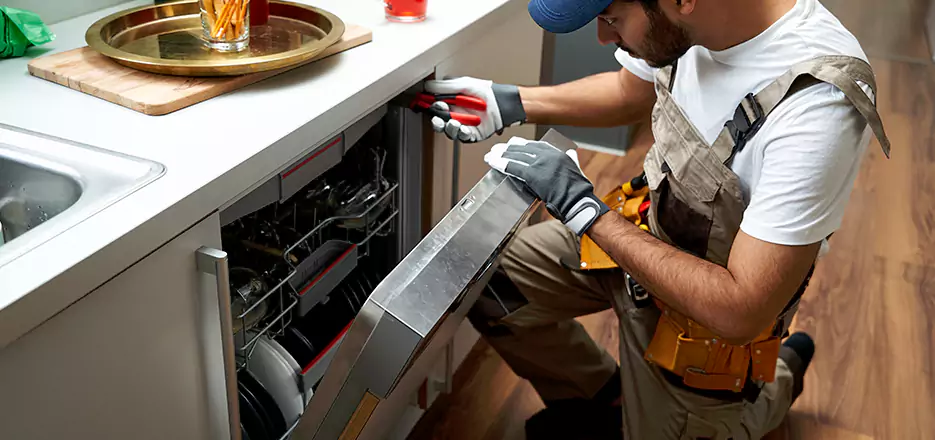 Same Day Dishwasher Not Draining Repair in Framingham