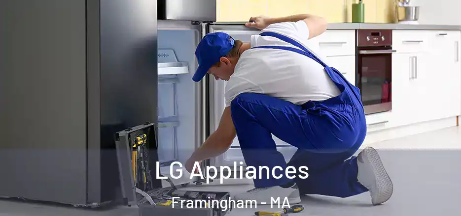  LG Appliances Framingham - MA