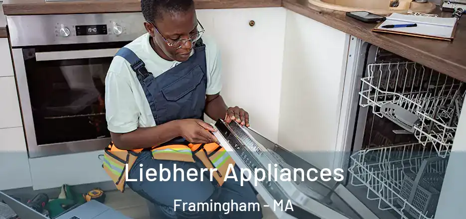  Liebherr Appliances Framingham - MA