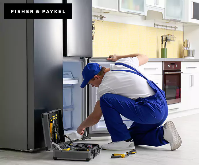 Top-Rated Fisher & Paykel Appliance Experts: Your Brand Specialist in Framingham, MA