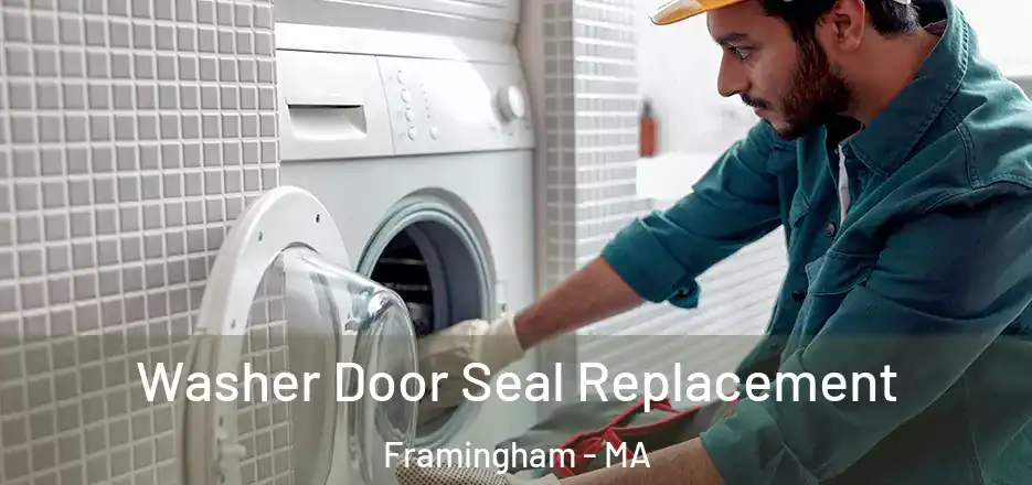  Washer Door Seal Replacement Framingham - MA